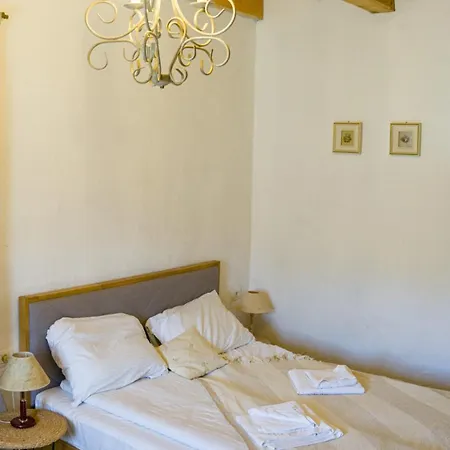 La Poale De Munte Holiday home Vistisoara
