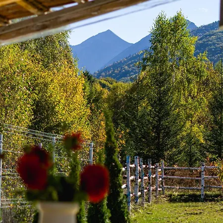 La Poale De Munte Holiday home *
